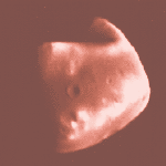 deimos2.gif (8870 bytes)